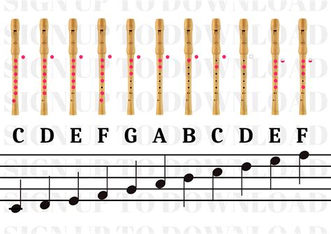 Notes On Recorder Every Note Explained Dynamic Music Recorder Notes - Recorder Notes