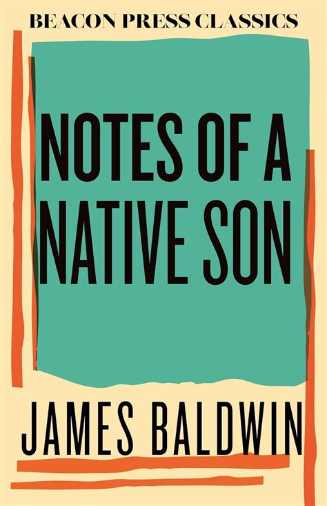 Notes To A Native Son