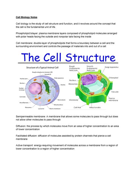 Download Notes Cell Structure And Function 
