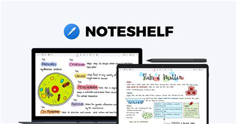 noteshelf