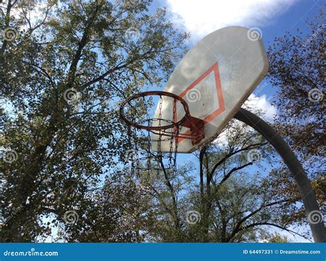 Nothin But Net