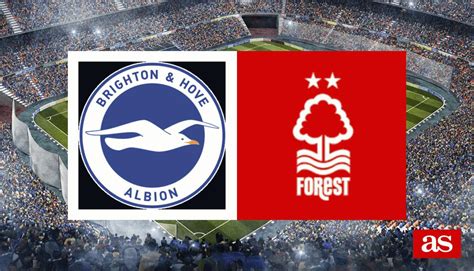 nottingham forest x brighton