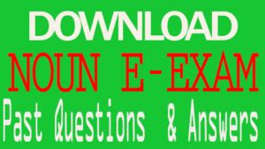 Noun E Exam Past Questions And Answers Chris Noun Questions And Answers - Noun Questions And Answers