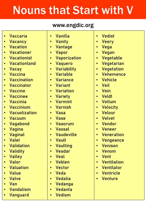Nouns That Start With V English Vocabulary Your Nouns That Start With V - Nouns That Start With V