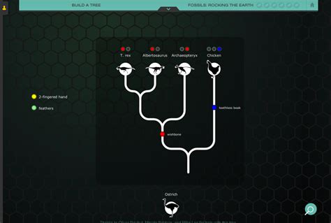 Nova Evolution Lab
