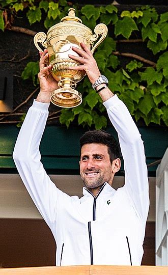 novak djokovic wikipedia srpski