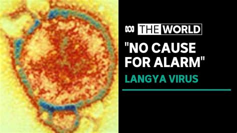 Novel Langya virus tracked in China after reports of 35 cases. This is 