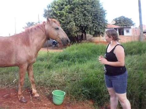 Novinhas Cavalgando Gostoso