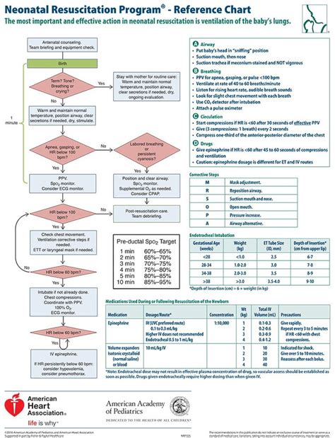 nrp 8th edition