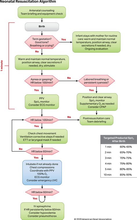 Nrp Algorithm 2022