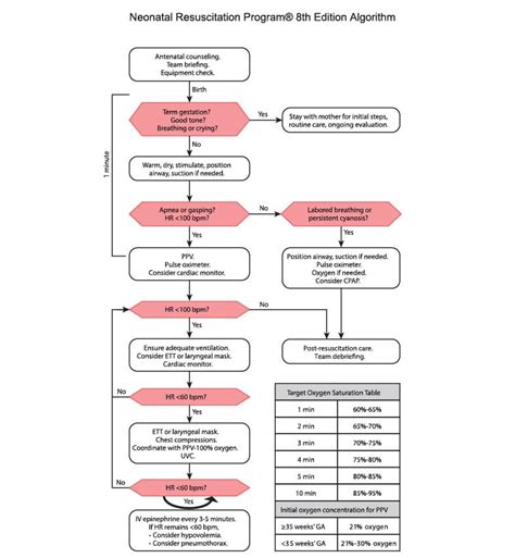 nrp algorithm 8th edition