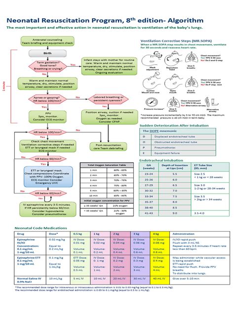 Nrp Guidelines 2021