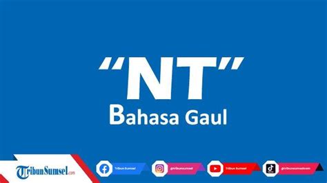 NT DALAM BAHASA GAUL - Arti NT dalam Bahasa Gaul dan Contoh Penggunaannya