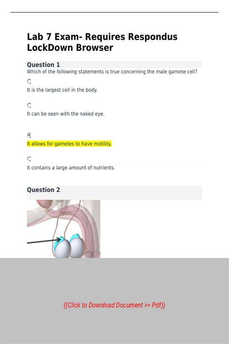 nt1330 lab 7 answers