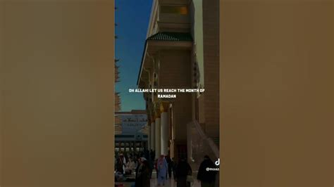 campobet: Aposte nas Melhores Apostas Desportivas Online e Fique Tranquilo com a Proteção de Fundos - Foto 2