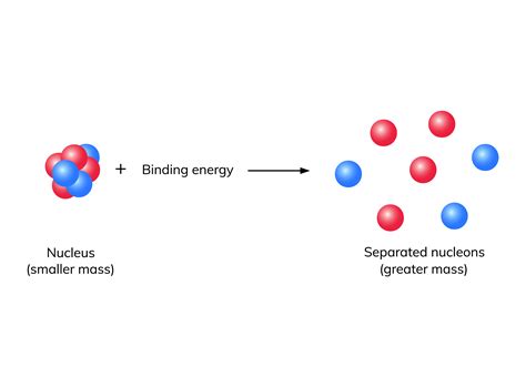 nuclear force and binding energy answer key