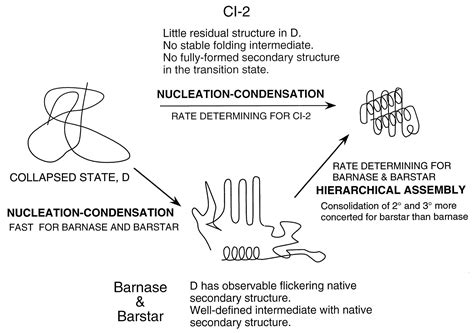 Nucleation Condensation Model