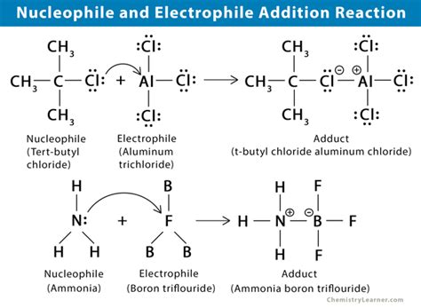 Nucleophile Vs Electrophile