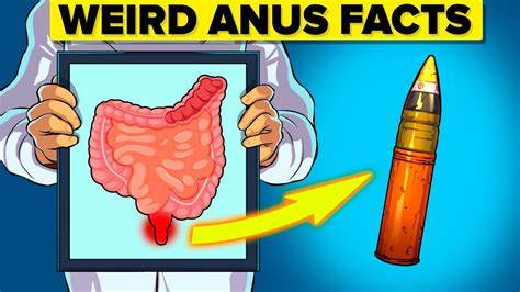 nude anus