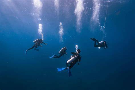 nude divers