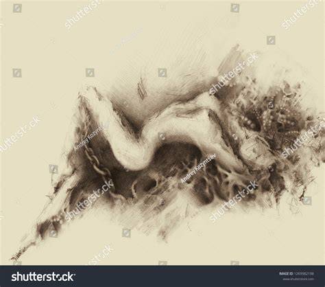 nude drawings