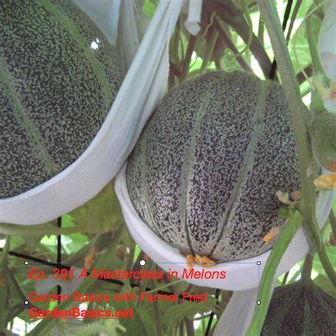 nude melons