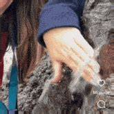 nude squirt gif