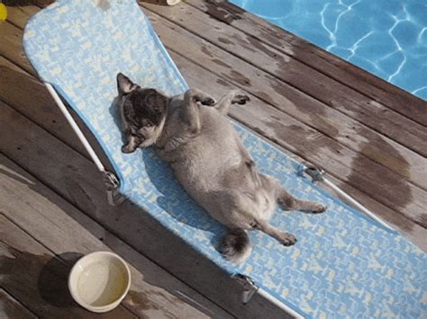 nude sunbathing gif