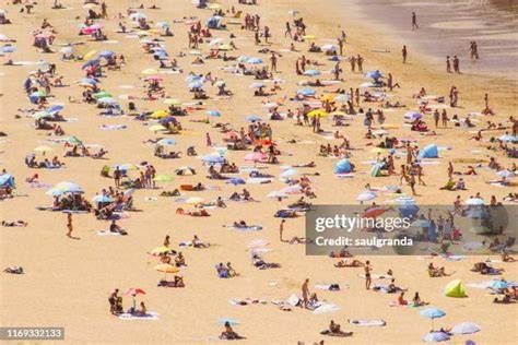 nudes sunbathing
