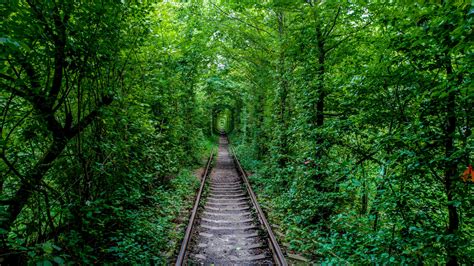 Instagram post by Clyde Lindgren #6