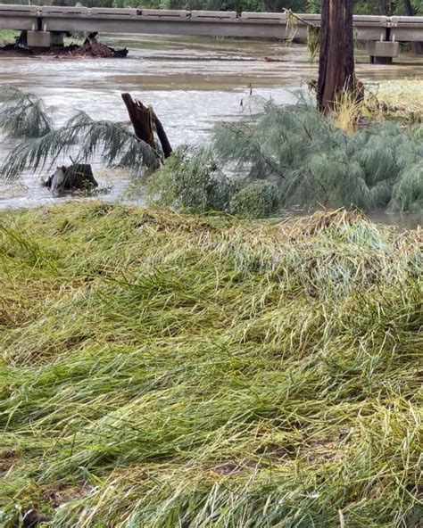 Instagram post by Enid Gleichner #4