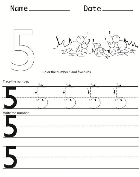 Number 5 Worksheet Preschool   Number 5 Worksheet For Kindergarten Learning Printable - Number 5 Worksheet Preschool