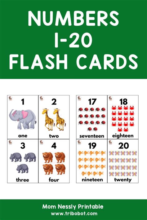 Numbers Flash Cards Tribobot X Mom Nessly Number Cards 1 20 - Number Cards 1 20