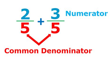 Numerator And Denominator Definition With Examples Fractions Numerator And Denominator - Fractions Numerator And Denominator