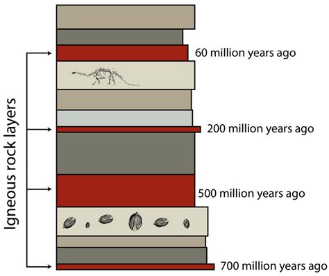 numerical dating of rocks and fossils