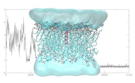 Numerical Simulation In Molecular Dynamics Numerics Algorithms Parallelization Applications