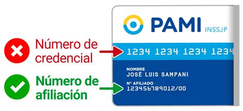 Numero De Pami