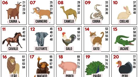 Numeros Dos Bichos