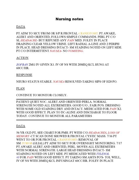 Nurses Notes Sample