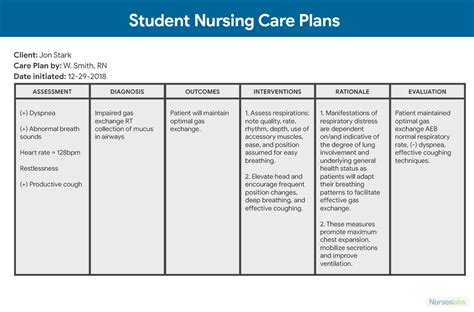 Nursing Care Plans Examples