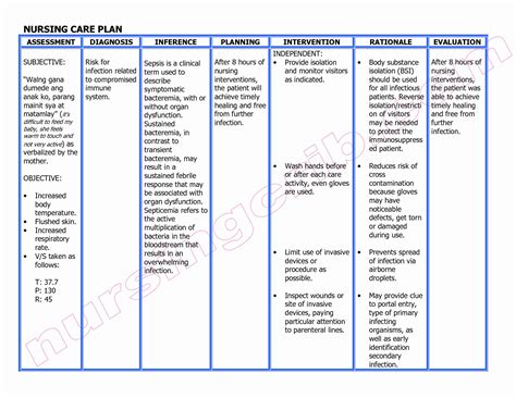 nursing care plans examples small bowel obstruction