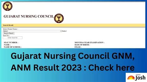 nursing council result