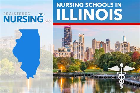 nursing programs in illinois