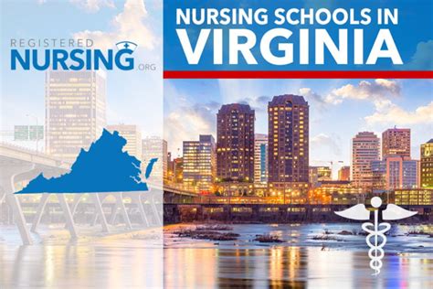 nursing programs in virginia