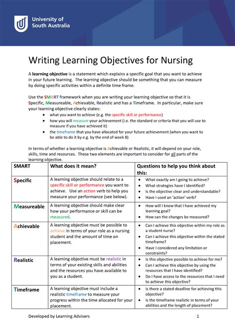 Nursing Student Learning Objectives Examples