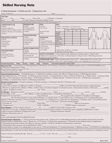 Read Nursing Assessment Documentation Sample 
