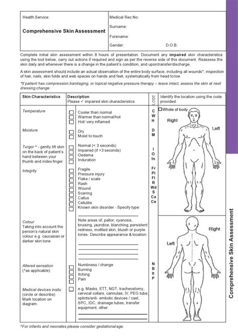 Download Nursing Assessment Documentation Template 