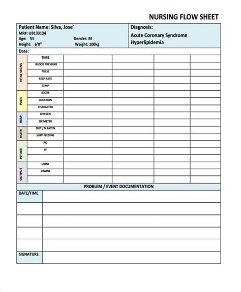 Download Nursing Documentation Flow Sheet 