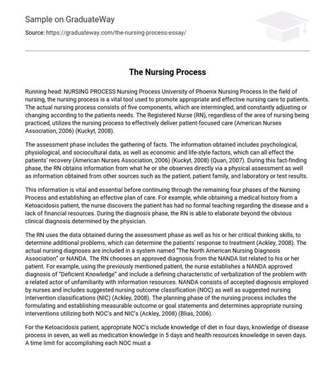Full Download Nursing Process Paper Example 