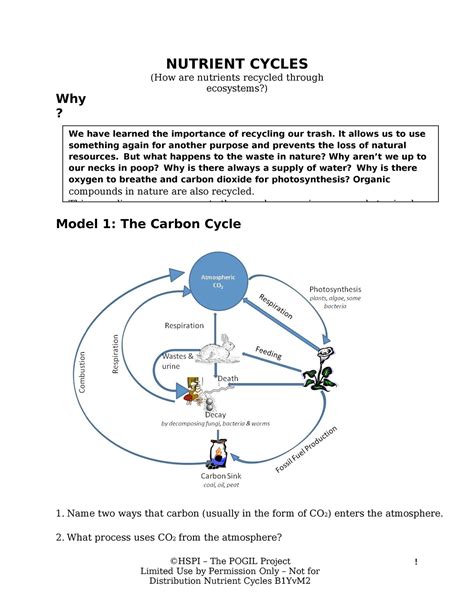 nutrient cycle pogil
